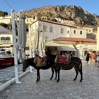 Crociere scuola vela