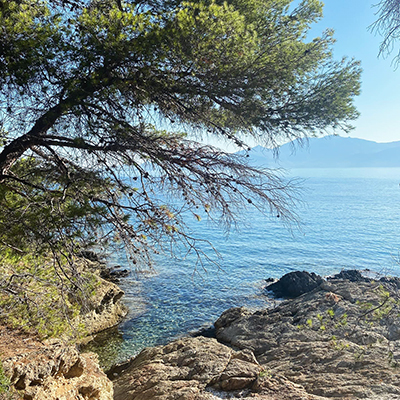 Crociere scuola vela