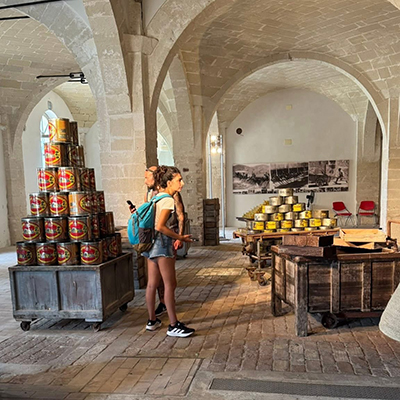 Crociere scuola vela