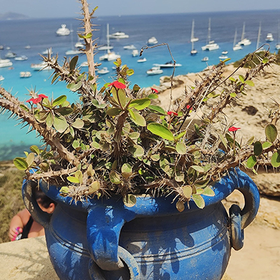 Crociere scuola vela