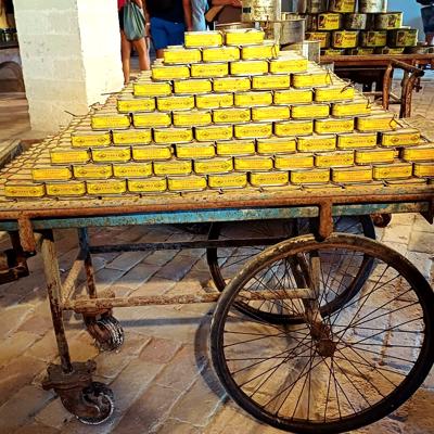 Crociere scuola vela