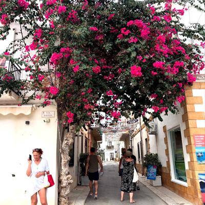 Crociere scuola vela