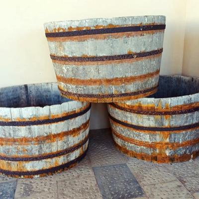 Crociere scuola vela