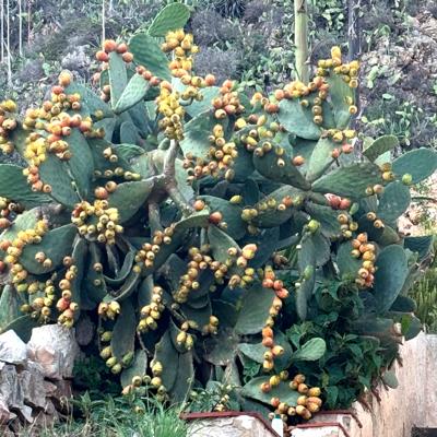 Crociere scuola vela