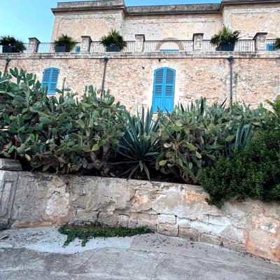 Crociere scuola vela