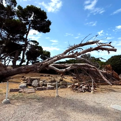 Crociera in Sardegna del Sud - Foto 20