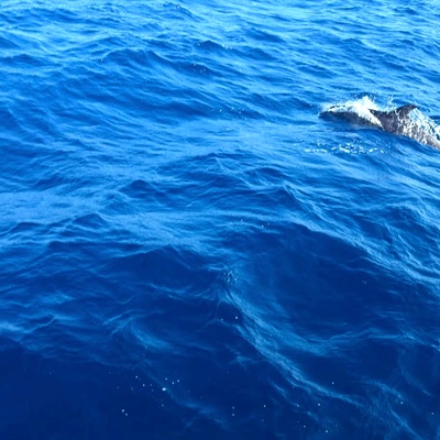 Crociera in Sardegna del Sud - Foto 50