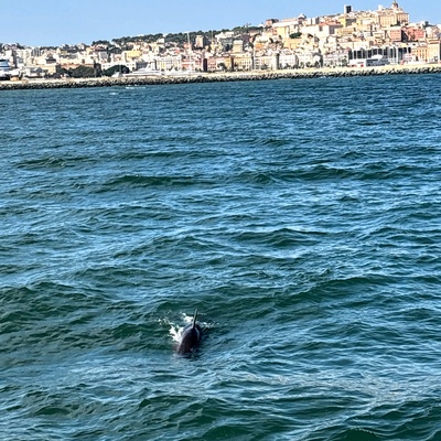 Crociera Vela e Yoga Sardegna - Foto 20