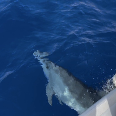 Crociera Vela e Yoga Sardegna - Foto 52