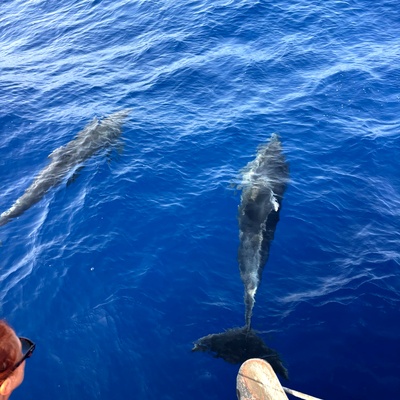 Crociera Vela e Yoga Sardegna - Foto 78