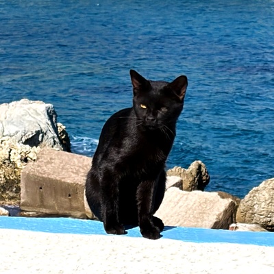 Catamarano in Grecia e Cicladi Occidentali - Foto 66